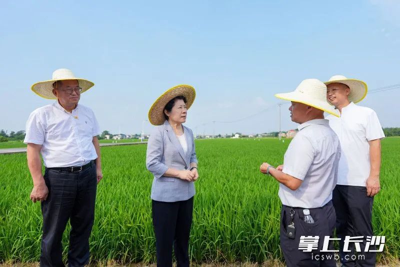 吴桂英调研粮食生产、防汛抗旱及乡村振兴工作