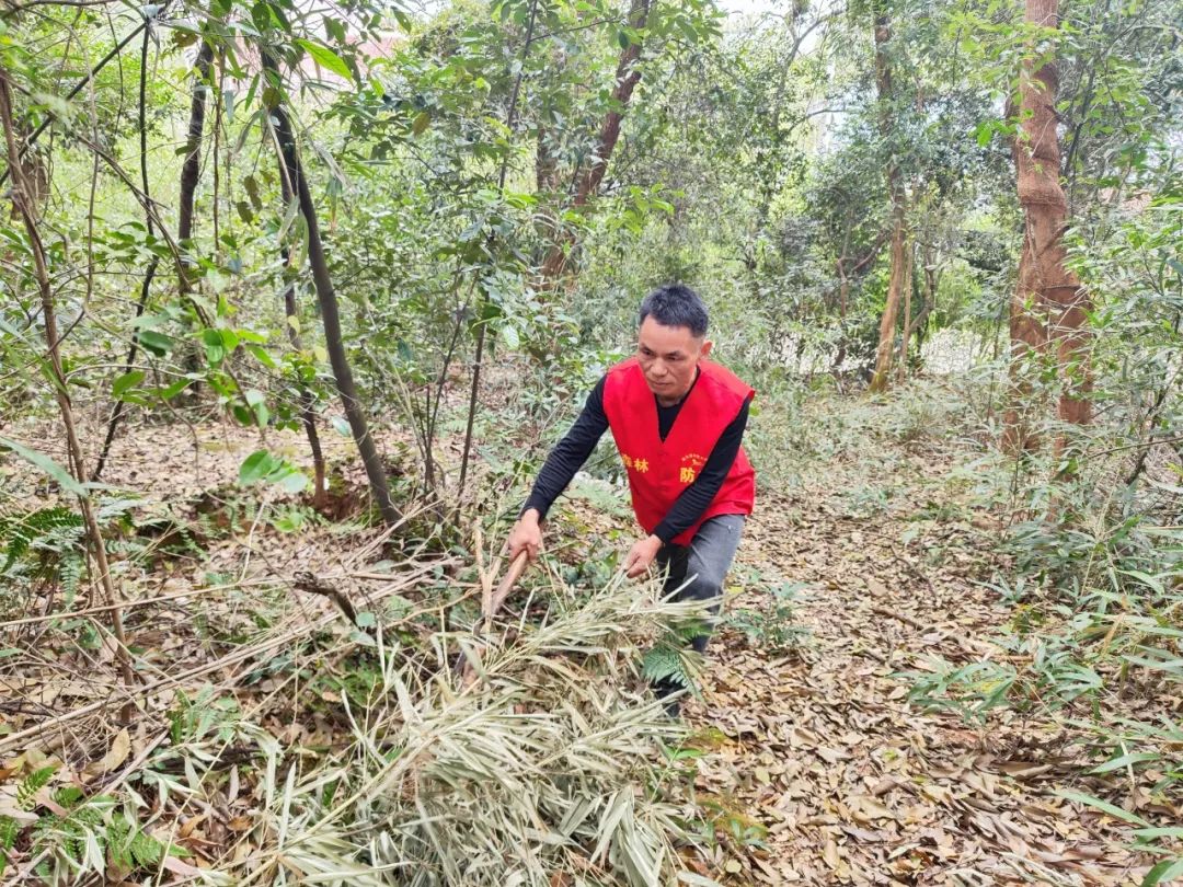 一个人，一辆车……看雨花这场人与森林的对话