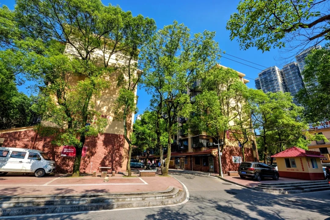 老旧社区的“巷里巷味”