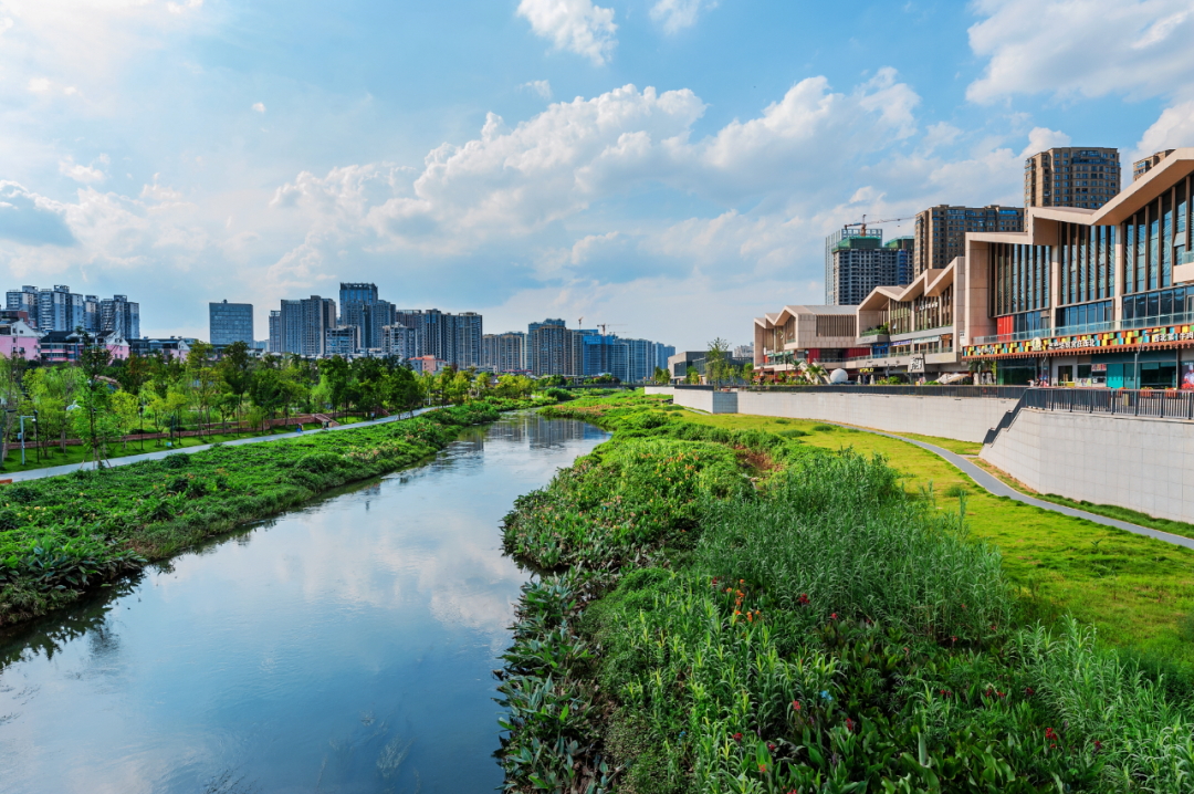 全国生态日！看长沙一条河流的“两山”答卷……