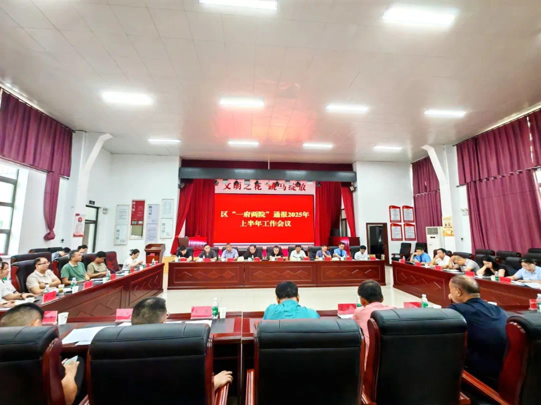 政民同心促振兴，共绘雨花新图景！2025年上半年雨花区“一府两院”工作通报会在跳马镇举行