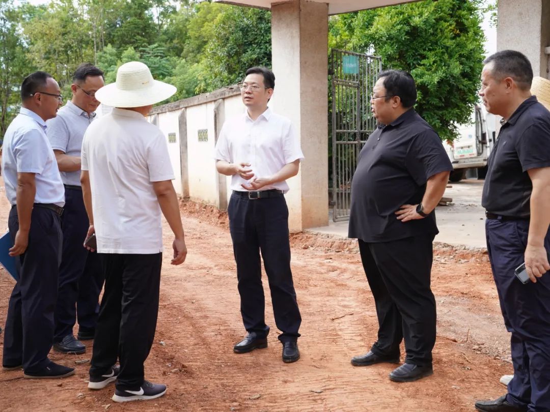 黄军其督办区人大代表建议办理情况并赴跳马镇人大代表联络站开展代表小组专题调研活动